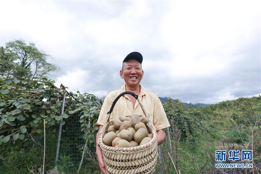 （經(jīng)濟）（2）江西廬山：產(chǎn)業(yè)扶貧促增收